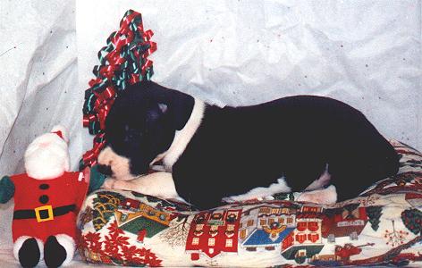 My first Christmas!